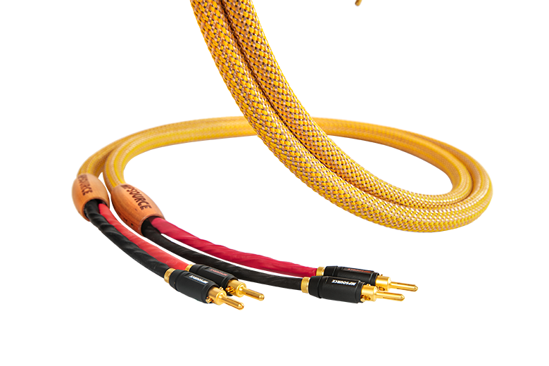 Gold Dragon Speaker Cable (2.5M)